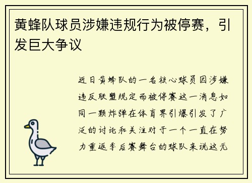 黄蜂队球员涉嫌违规行为被停赛，引发巨大争议